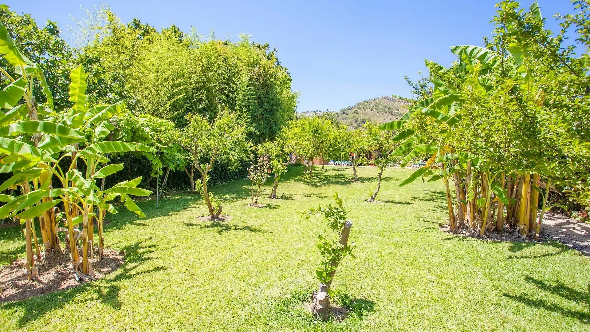 Villa Martin Alcúdia